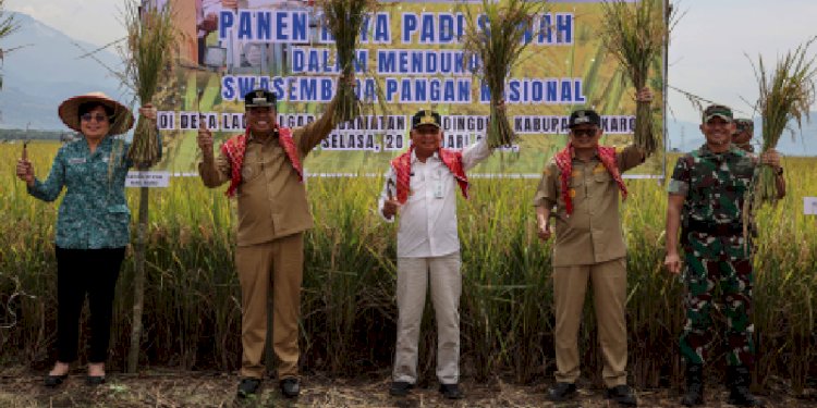 Panen Raya Padi di Karo, Wagub Surya Pastikan Keberpihakan Pemerintah kepada Petani