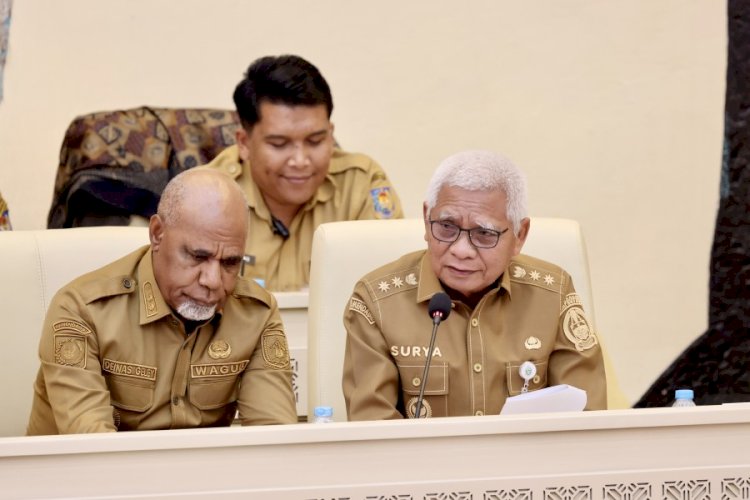 Di DPR RI, Wagub Surya Ungkap Strategi Sumut Dongkrak PAD dari Aset dan BUMD