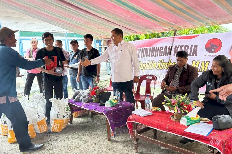Rapidin Simbolon Serahkan Benih Jagung kepada 170 Kepala Keluarga Petani Urat Samosir