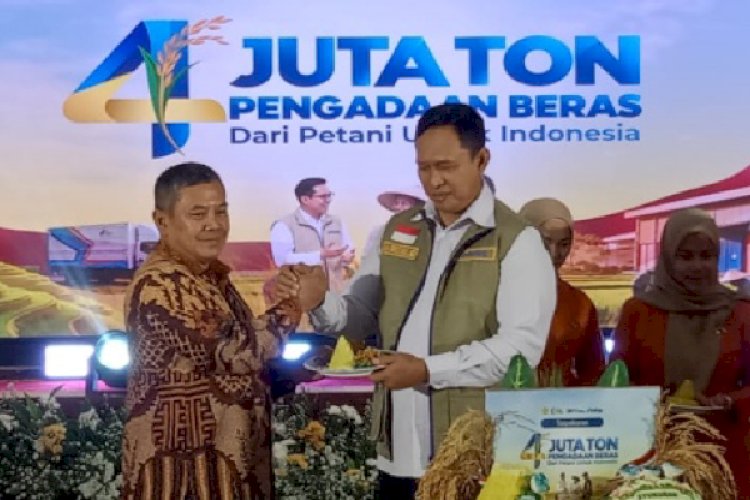 Capaian 4 Juta Ton Serapan Beras Bulog Jadi Kado Dua Tahun Prabowo