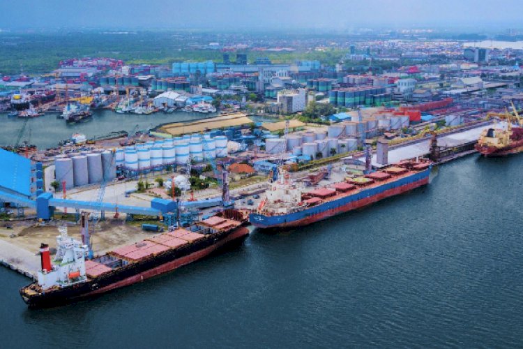 Hingga Agustus 2026, Pelindo Multi Terminal Belawan Catat Kinerja Positif 