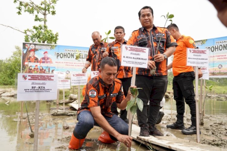 Gerakan Tobat Ekologis, Musa Rajekshah Pimpin Aksi Pemuda Pancasila Sumut Tanam 100.000 Pohon di Serdangbedagai